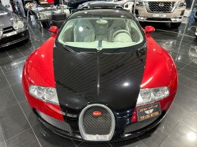 Bugatti Veyron 1 of out 100 in the world