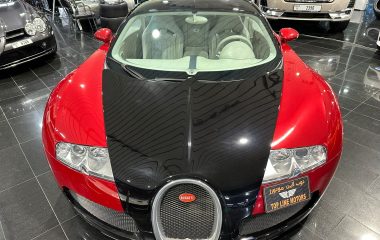 Bugatti Veyron 1 of out 100 in the world