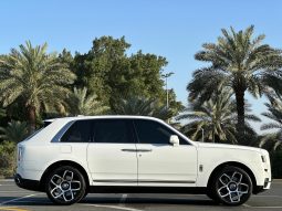 
										ROLLS ROYCE CULLINAN SILVER BADGE full									